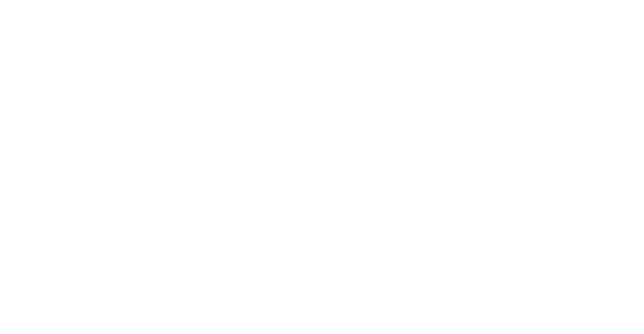 Zur Graphic
